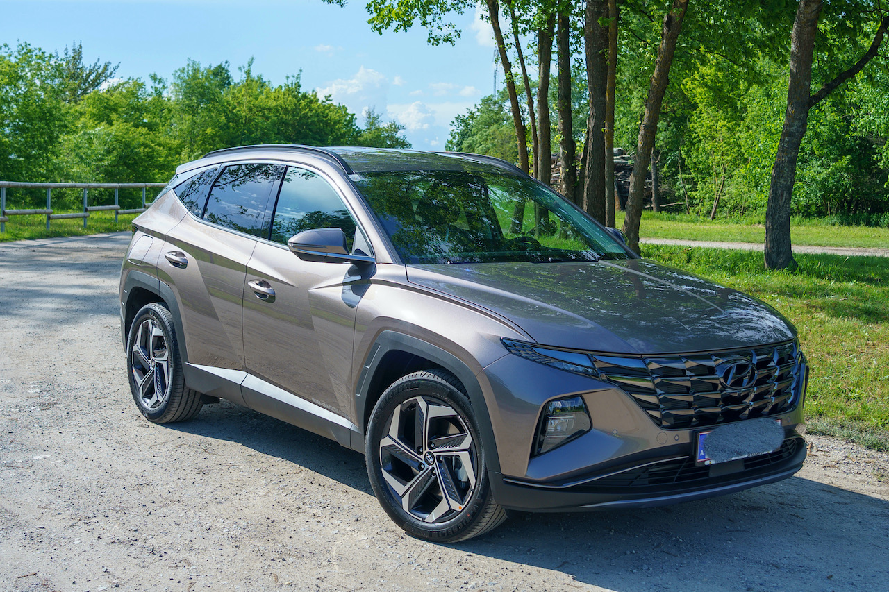 Mein PHEV in Silky Bronze