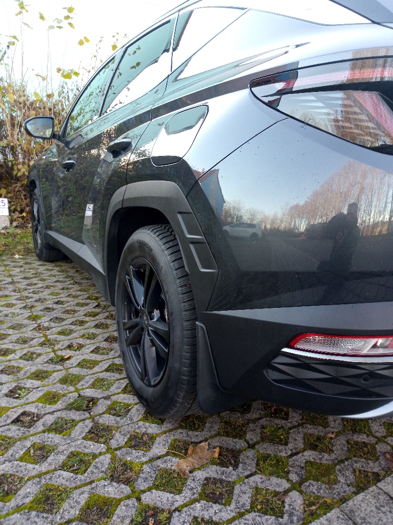 Schmutzfänger NX4