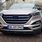 Frontgrill geändert ( lackiert und mit Carbonfolie beklebt )